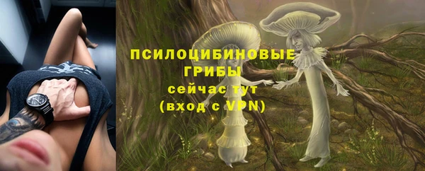mdpv Волосово