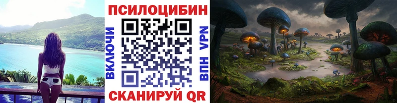 мега рабочий сайт  купить закладку  Ишимбай  Псилоцибиновые грибы мухоморы 